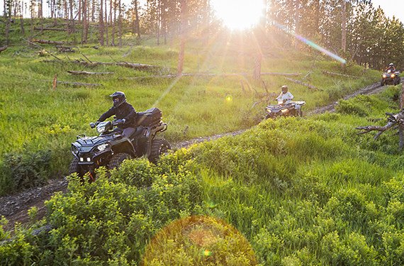 Duraclutch-Sportsman-450