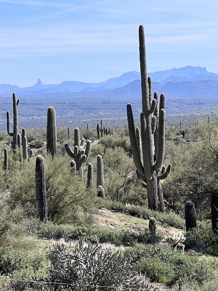 Arizona UTV Trail